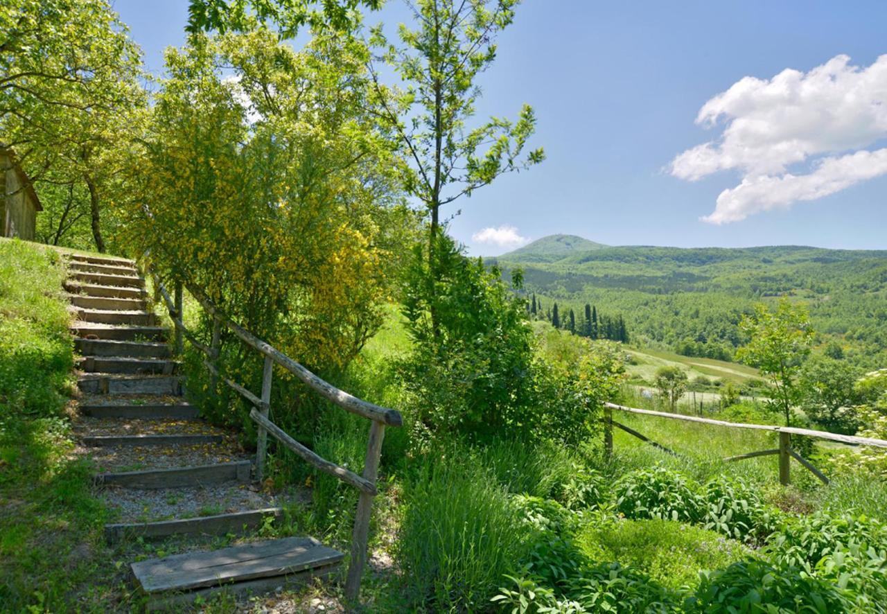 Casa Dell'Ambasciatore Vivo dʼOrcia Dış mekan fotoğraf